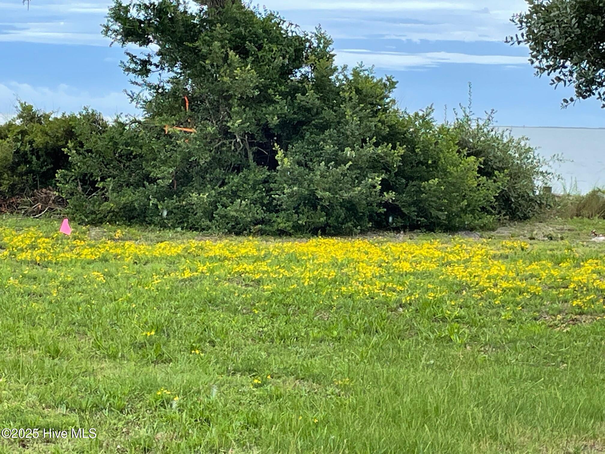 620 Seashore Drive Atlantic, NC 28511 - Photo 19 of 33 shoreside area