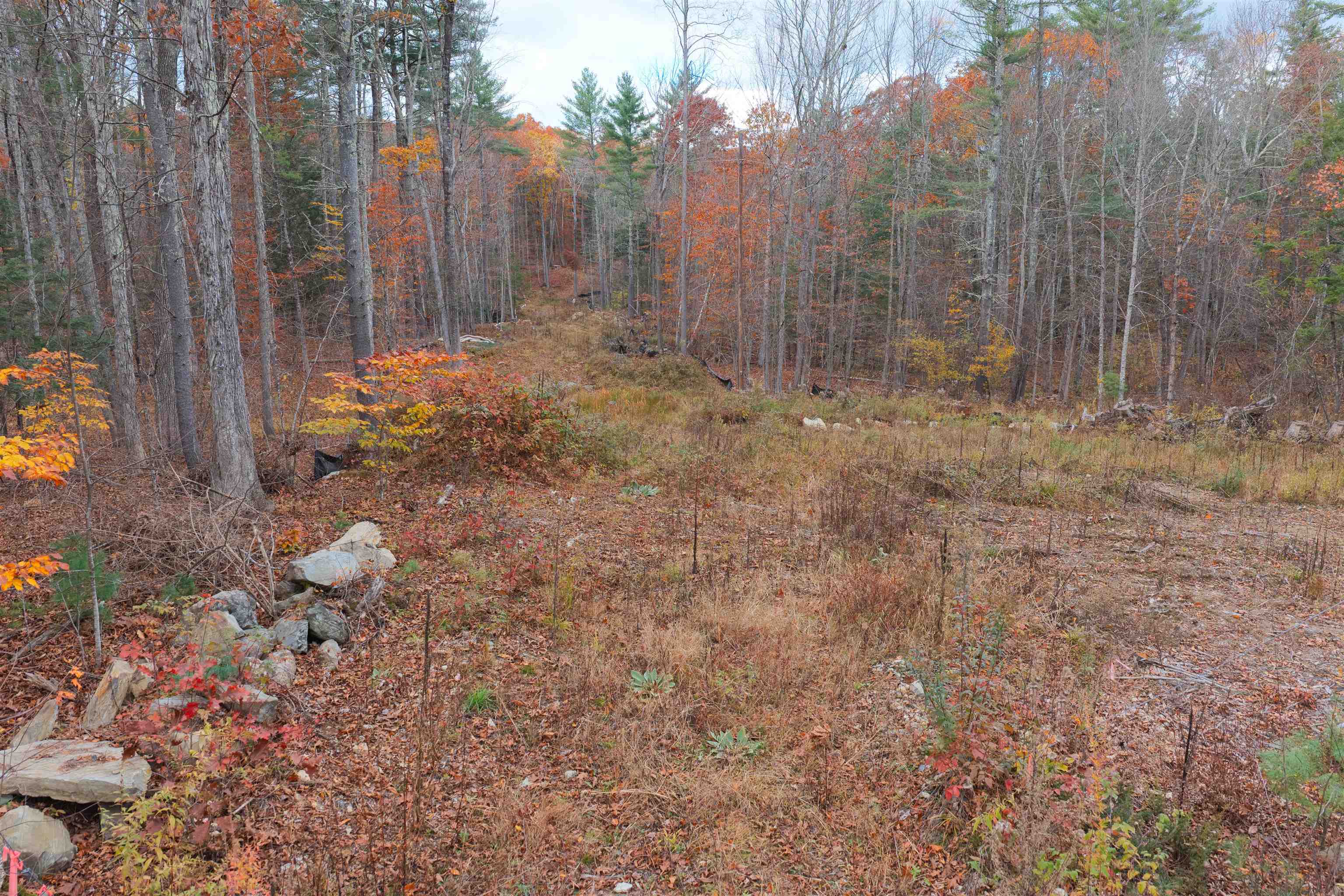 Lake Road Brentwood, NH 03833 - Photo 9 of 11 Gallery Image 9
