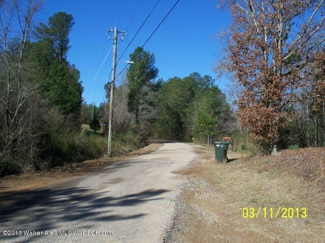 Pleasant Way Jasper, AL 35501 - Photo 1 of 1 Gallery Image 1