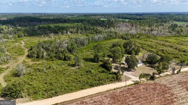 $178,500 | Tract 2 Pine Cone Trail, Mershon, GA 31551