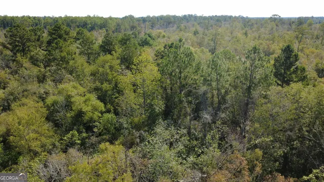 $178,500 | Tract 2 Pine Cone Trail, Mershon, GA 31551