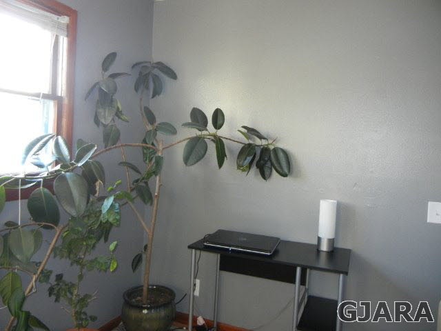 2925 Ronda Lee Road Grand Junction, CO 81503 - Photo 17 of 24 Gallery Image 17