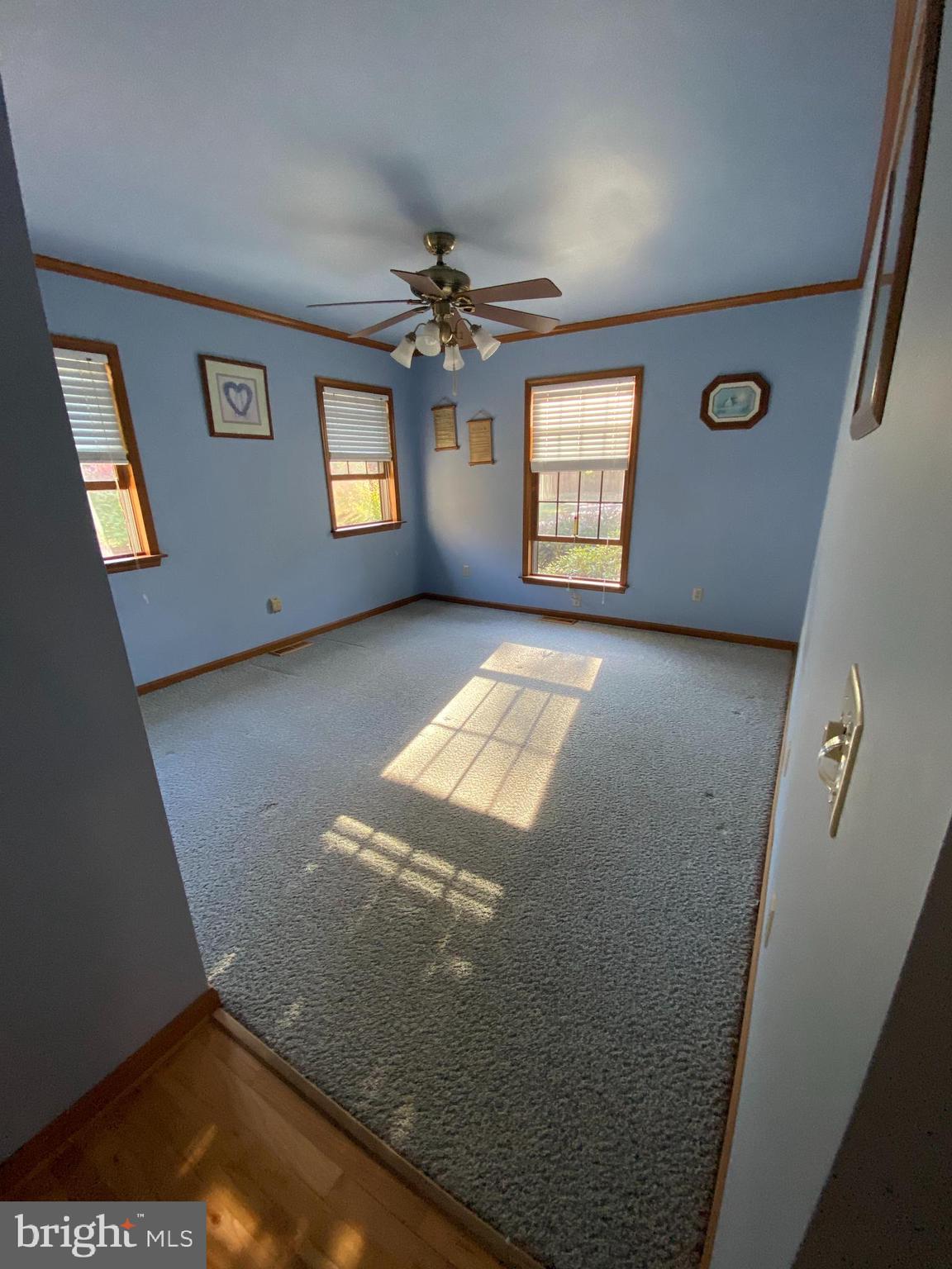 26565 River Road Seaford, DE 19973 - Photo 16 of 60