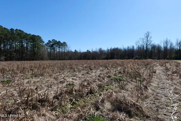 $300,000 | 2 East Main Street, Carthage, MS 39051