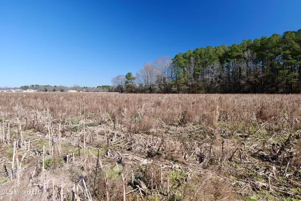 $300,000 | 2 East Main Street, Carthage, MS 39051