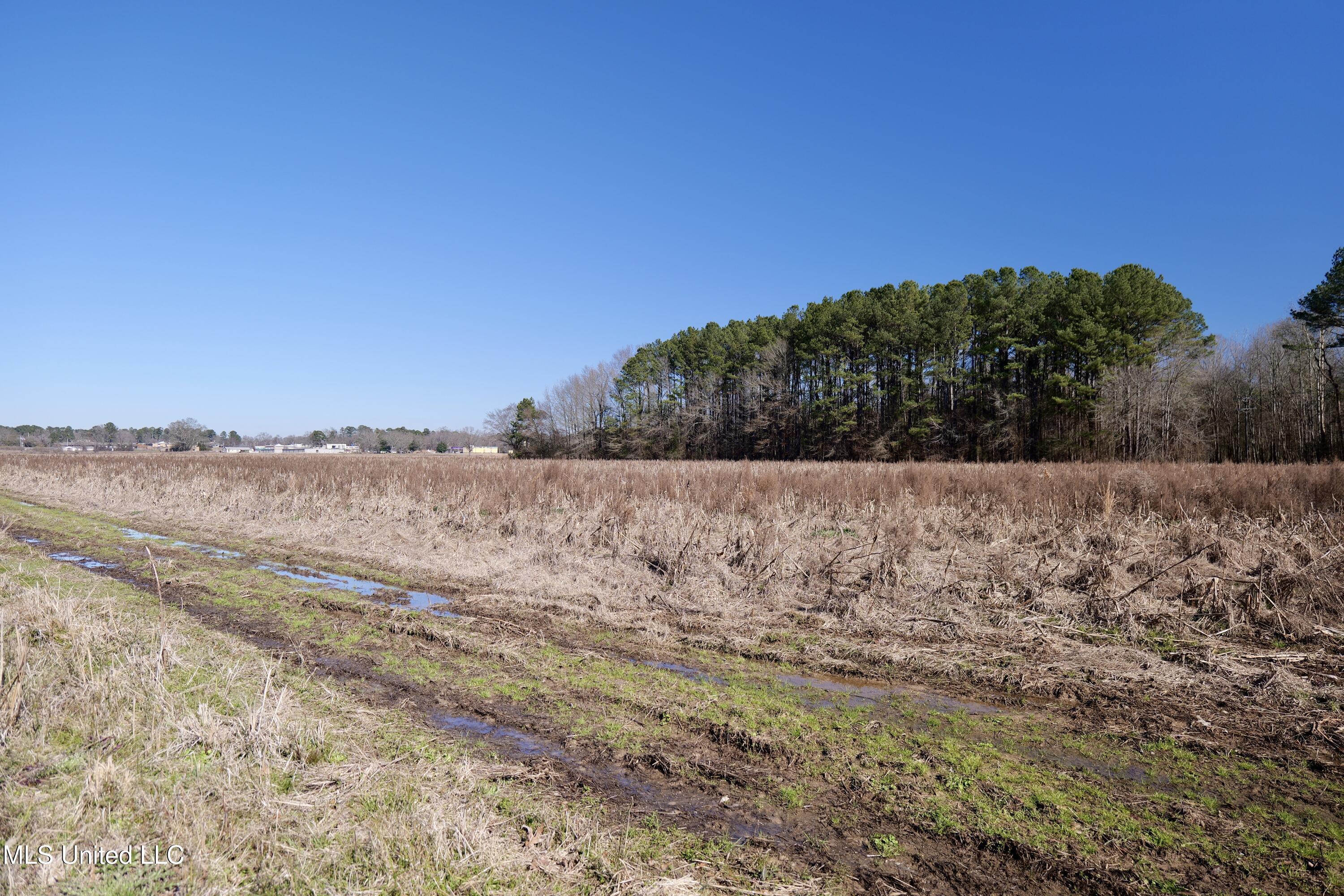 2 East Main Street Carthage, MS 39051 - Photo 17 of 20 P1011645