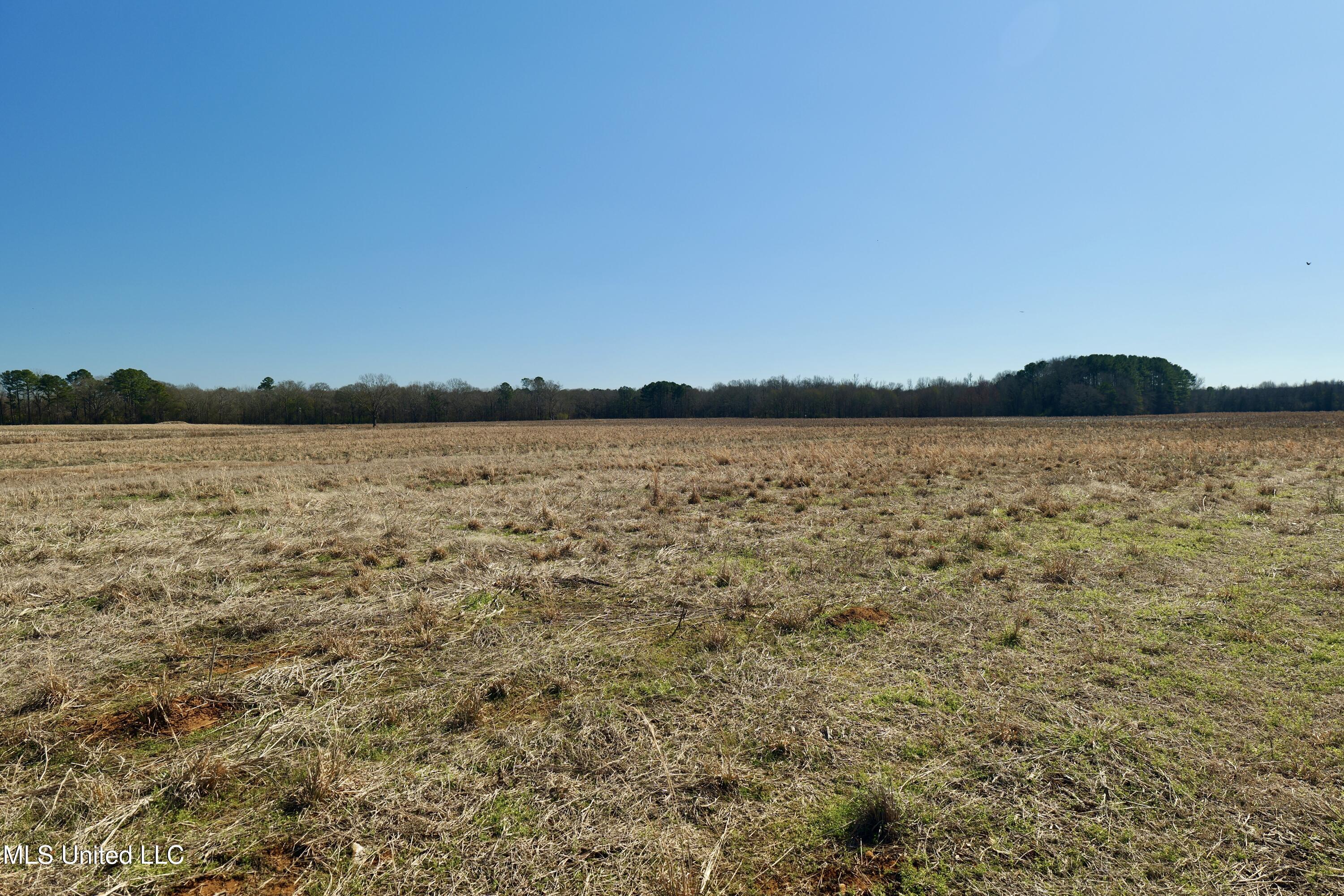 2 East Main Street Carthage, MS 39051 - Photo 6 of 20 P1011606