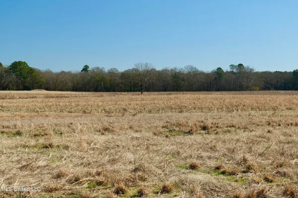 $300,000 | 2 East Main Street, Carthage, MS 39051