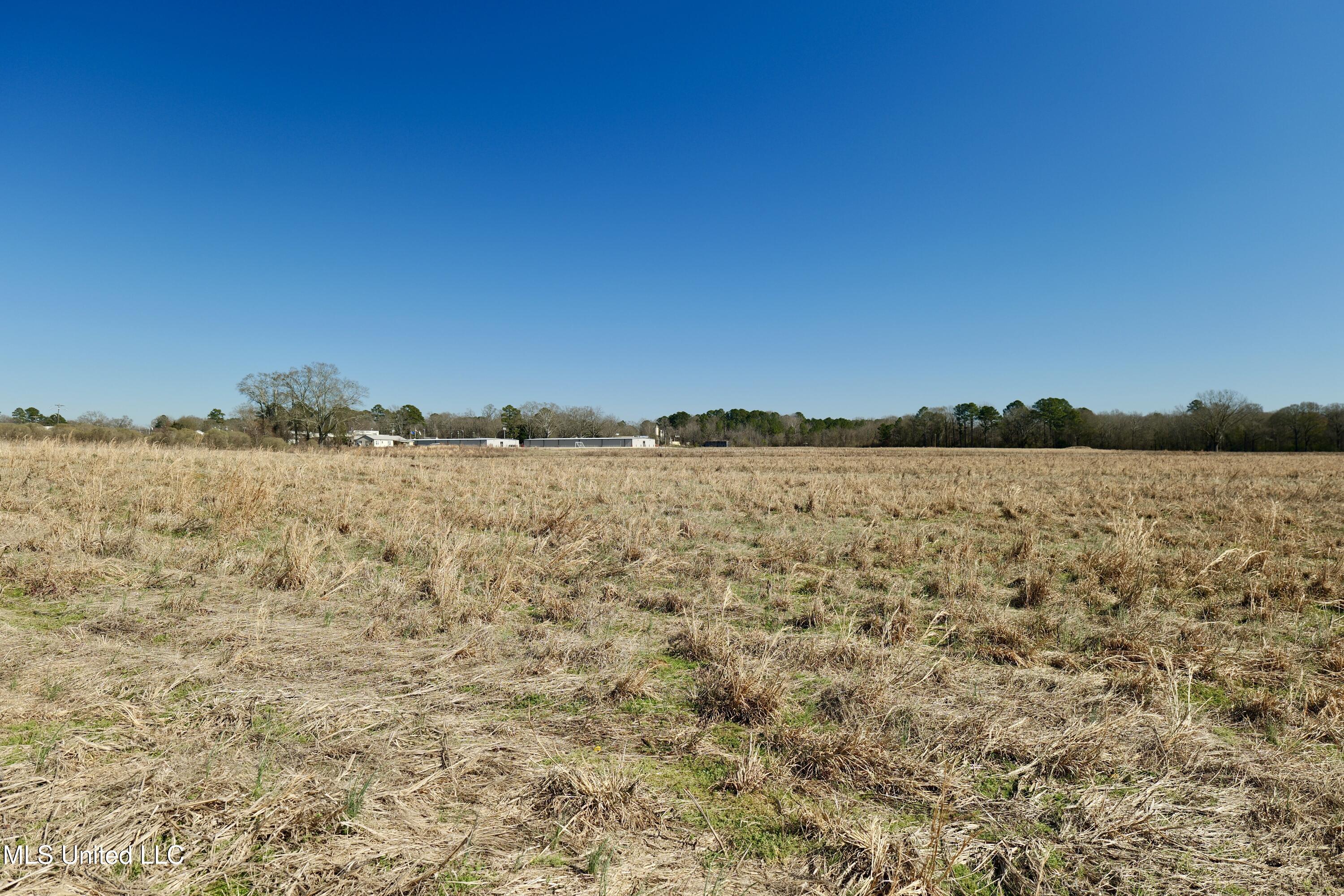 2 East Main Street Carthage, MS 39051 - Photo 9 of 20 P1011613