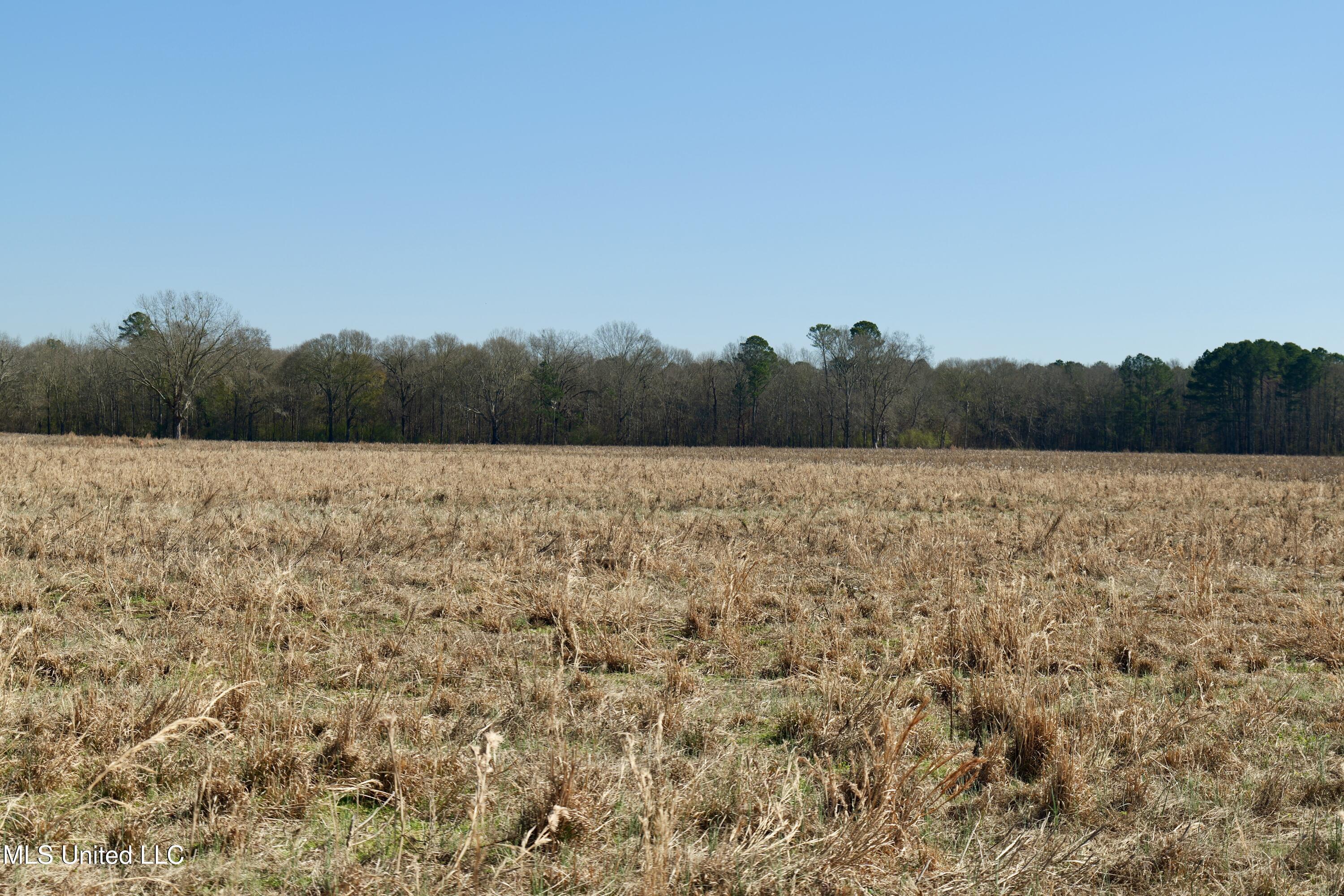 2 East Main Street Carthage, MS 39051 - Photo 10 of 20 P1011614
