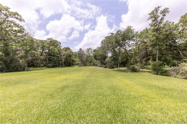 a view of a yard with an outdoor space