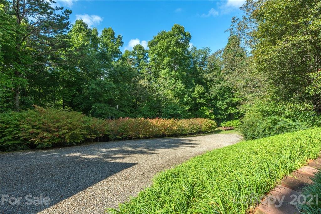 31 Bear Trail Fairview, NC 28730 - Photo 39 of 48 a view of a yard with plants and large trees