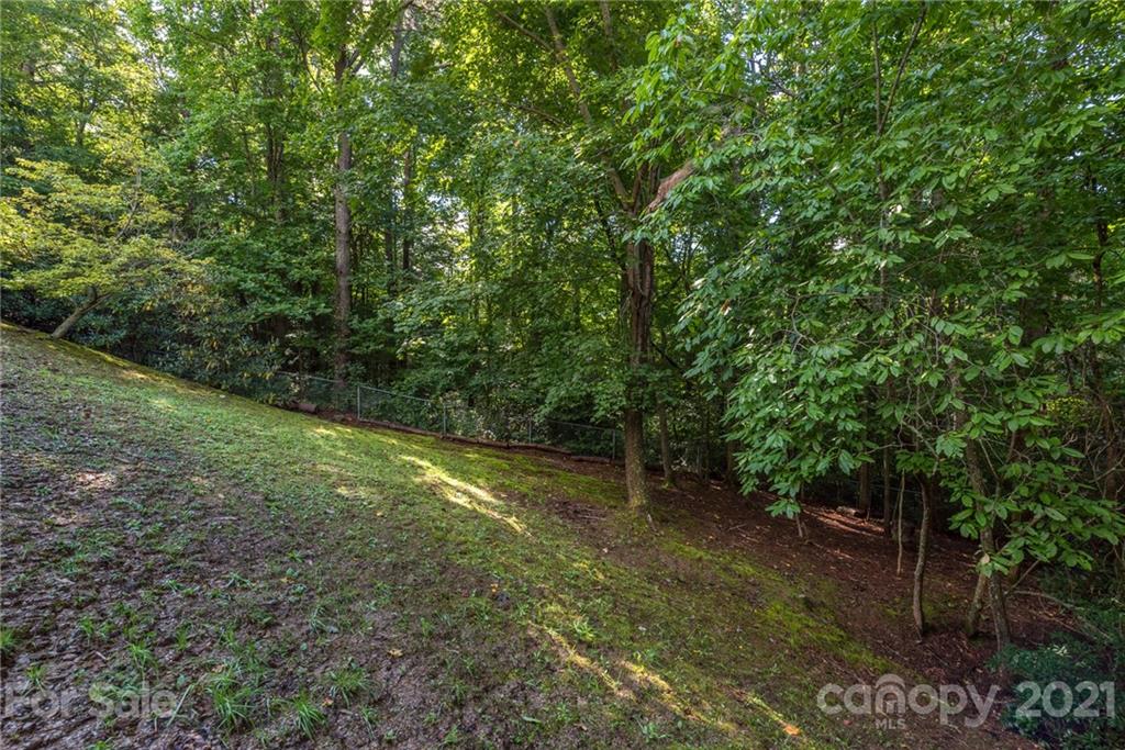 31 Bear Trail Fairview, NC 28730 - Photo 42 of 48 a view of outdoor space and yard
