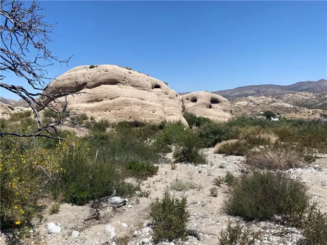 a view of a mountain in the distance in a field