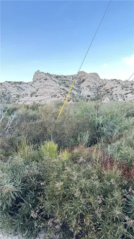 an outdoor space with lots of trees