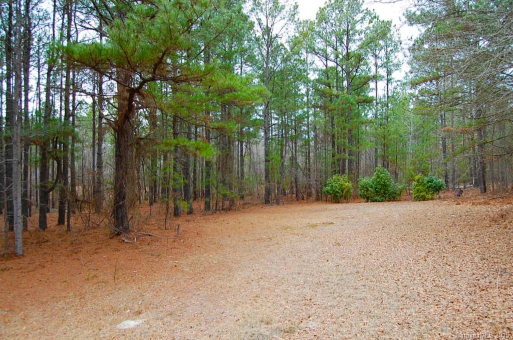 482 Sanders Road Pageland, SC 29728 - Photo 3 of 23 Gallery Image 3