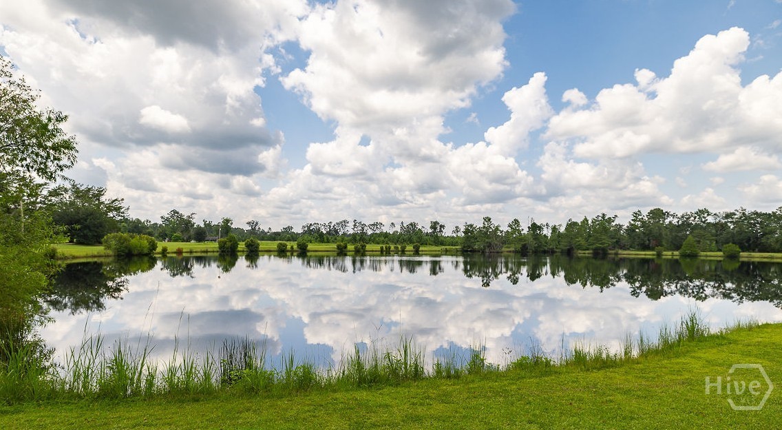 410 Newton Road Guyton, GA 31312 - Photo 2 of 36