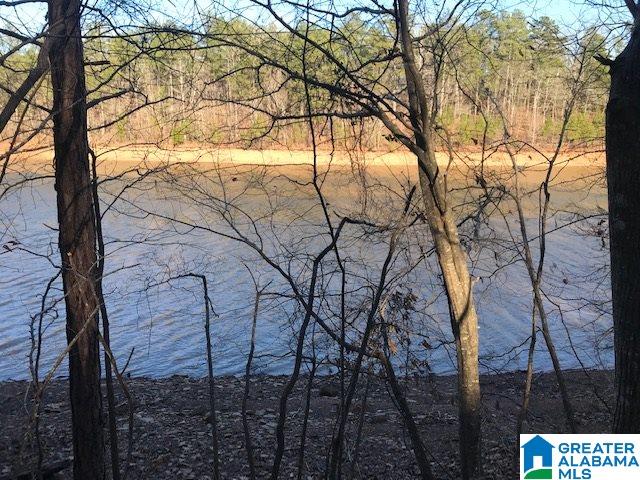 Lot 2 Emily Avenue, Unit 2 Lineville, AL 36266 - Photo 11 of 12
