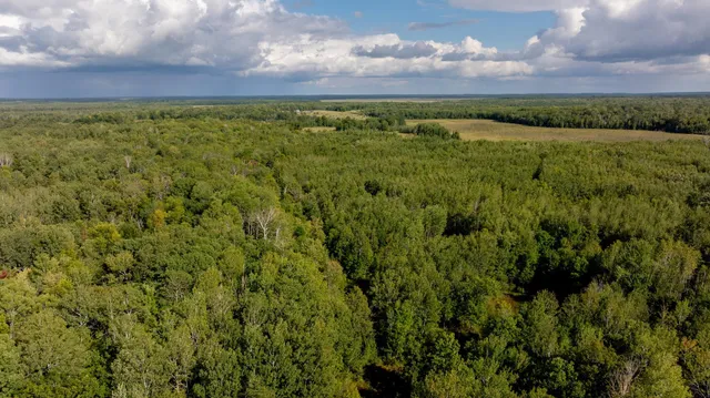 $475,000 | 9149 Boy Lake Drive Northeast, Remer, MN 56672