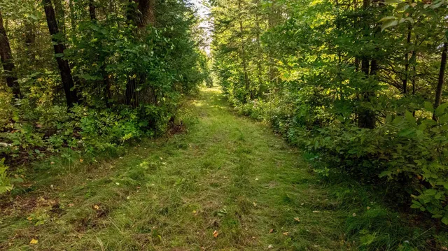 $475,000 | 9149 Boy Lake Drive Northeast, Remer, MN 56672