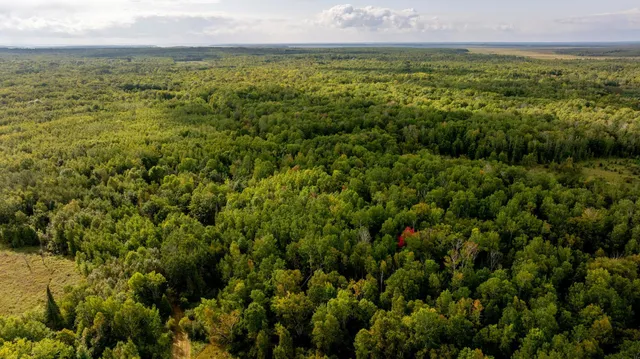 $475,000 | 9149 Boy Lake Drive Northeast, Remer, MN 56672