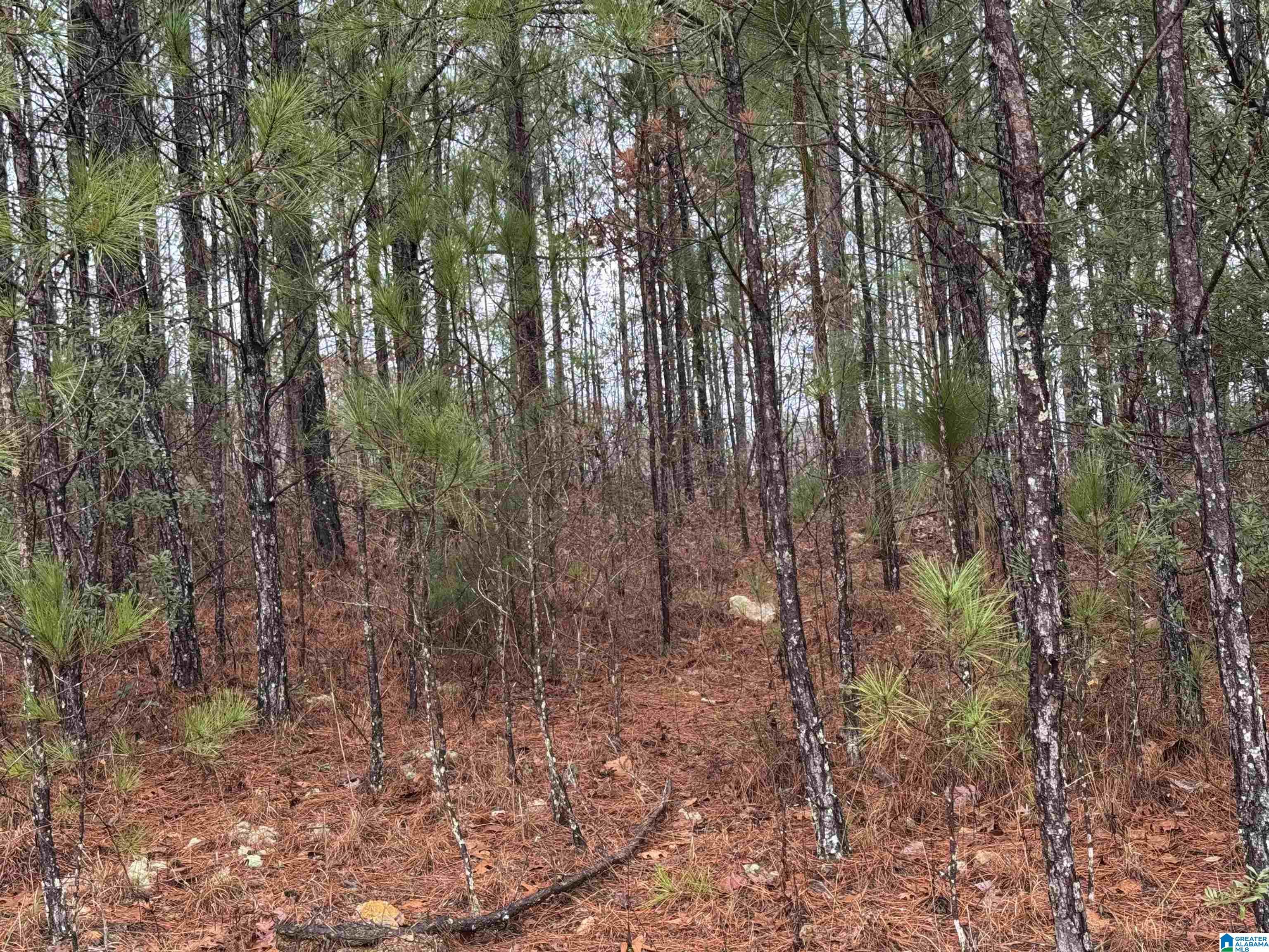 318 Willow Lane, Unit 10 Vincent, AL 35178 - Photo 1 of 2