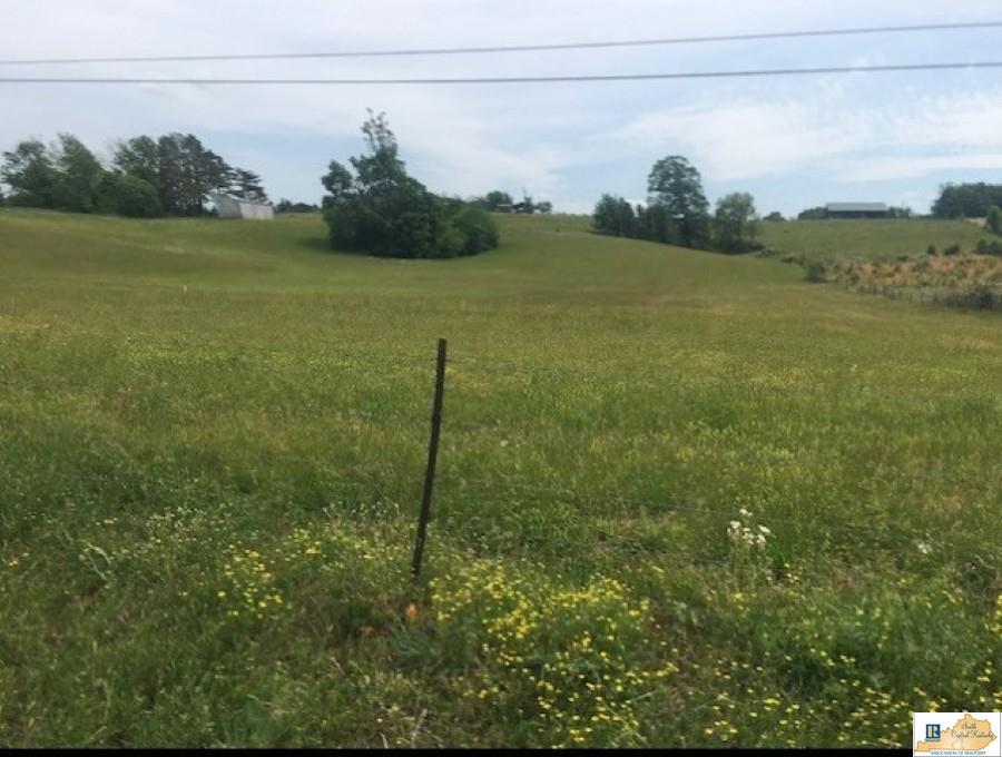 0 Cave Springs Road Tompkinsville, KY 42167 - Photo 4 of 7 Gallery Image 4
