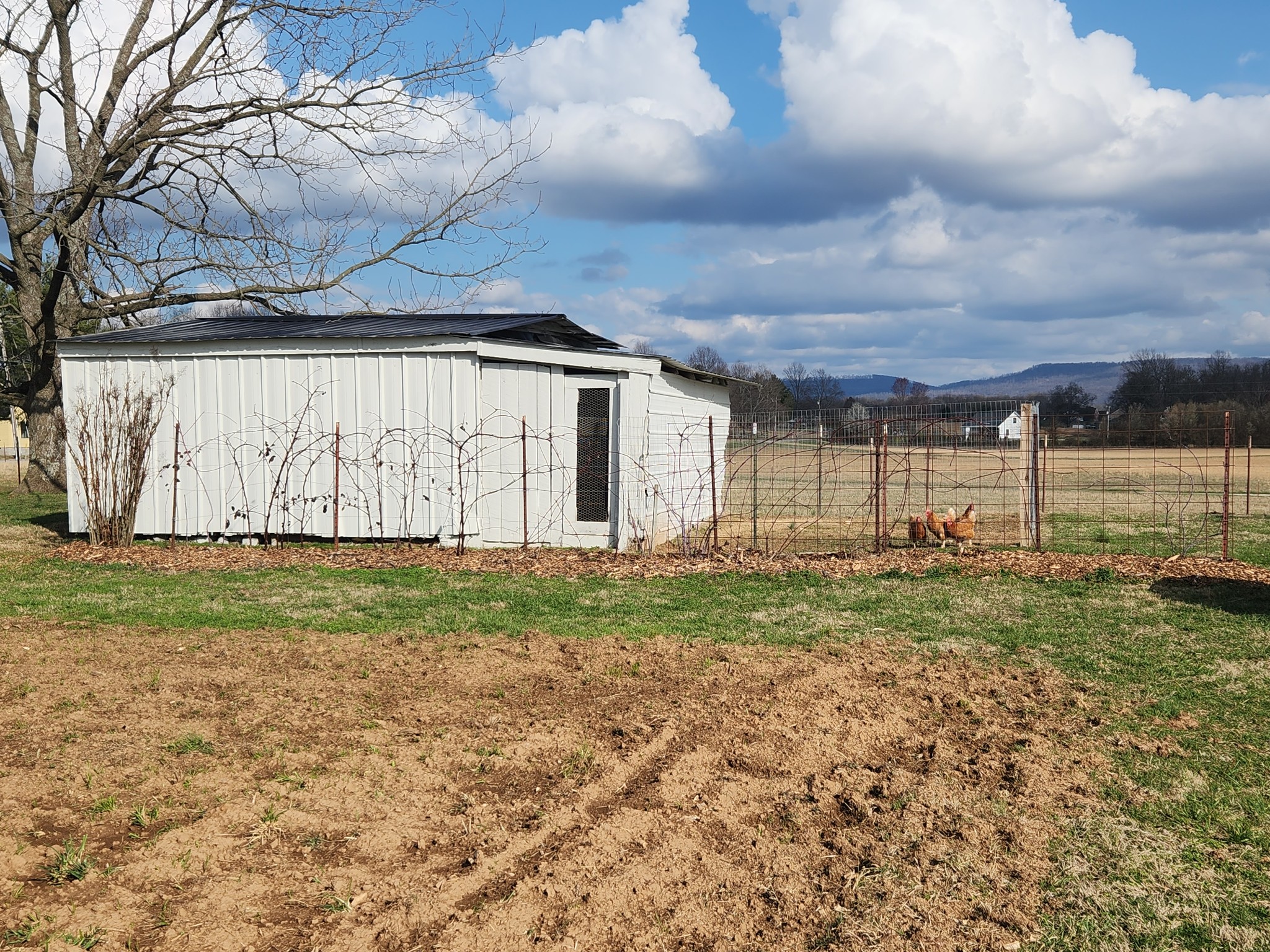 890 Tom Grissom Road Morrison, TN 37357 - Photo 15 of 17 a view of a backyard