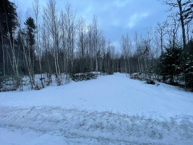 80 Silsby Road Ellsworth, ME 04605 - Photo 4 of 4 thumbnail_IMG_1827