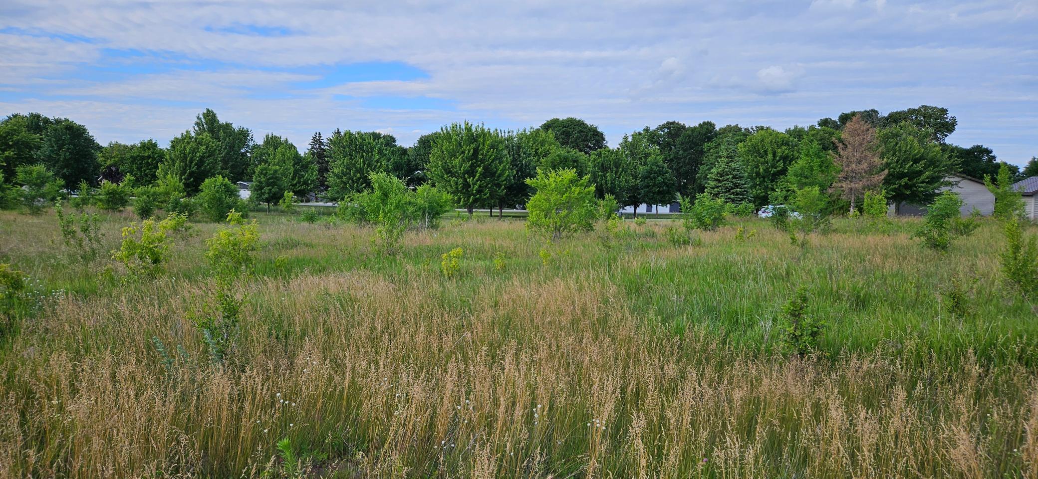 Tbd Schuelke Beach Road Northwest Miltona, MN 56354 - Photo 8 of 9