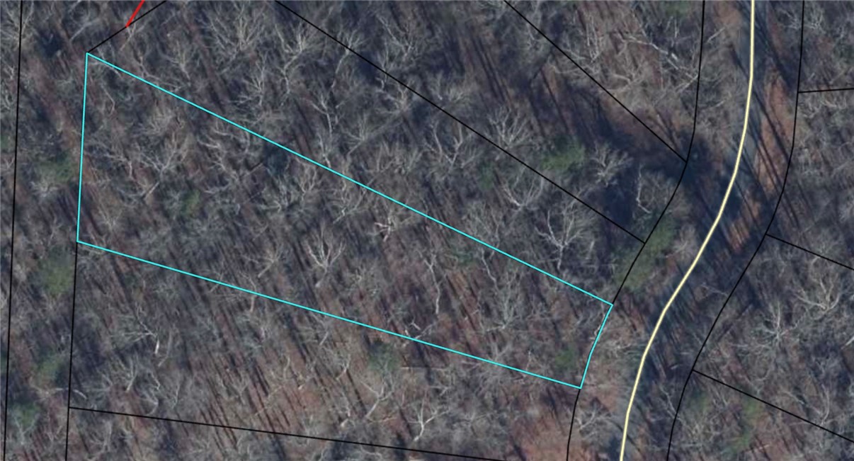 113 North Foxglove Road Westminster, SC 29693 - Photo 1 of 1 Mature woodlands define the natural landscape of this expansive aerial lot view.
