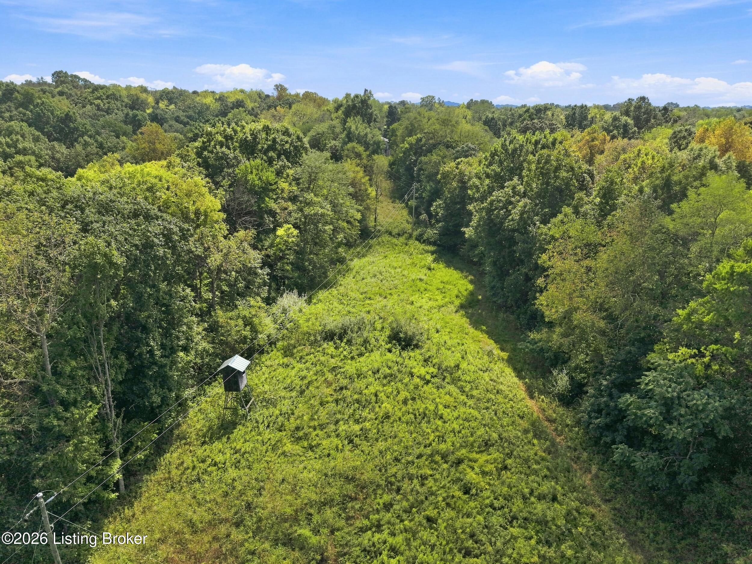 2801 Pattons Creek Road Pendleton, KY 40055 - Photo 114 of 130 Ariel