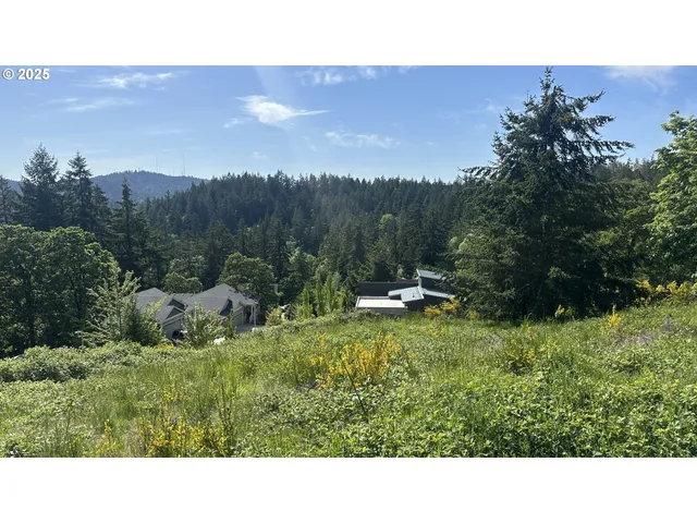 a open area with a yard in the back