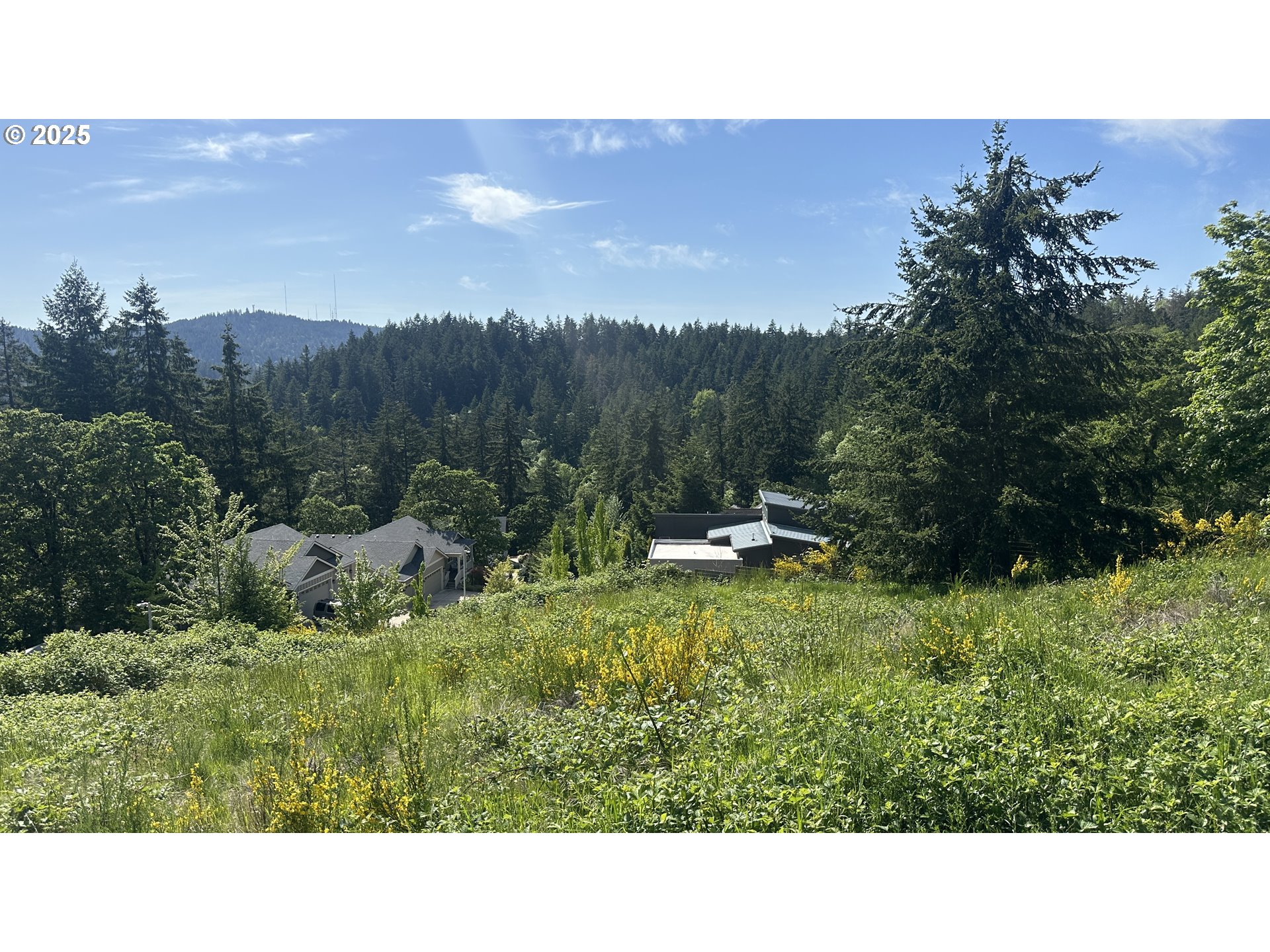 Wendell, Unit 1 Eugene, OR 97405 - Photo 12 of 14 a open area with trees in the background