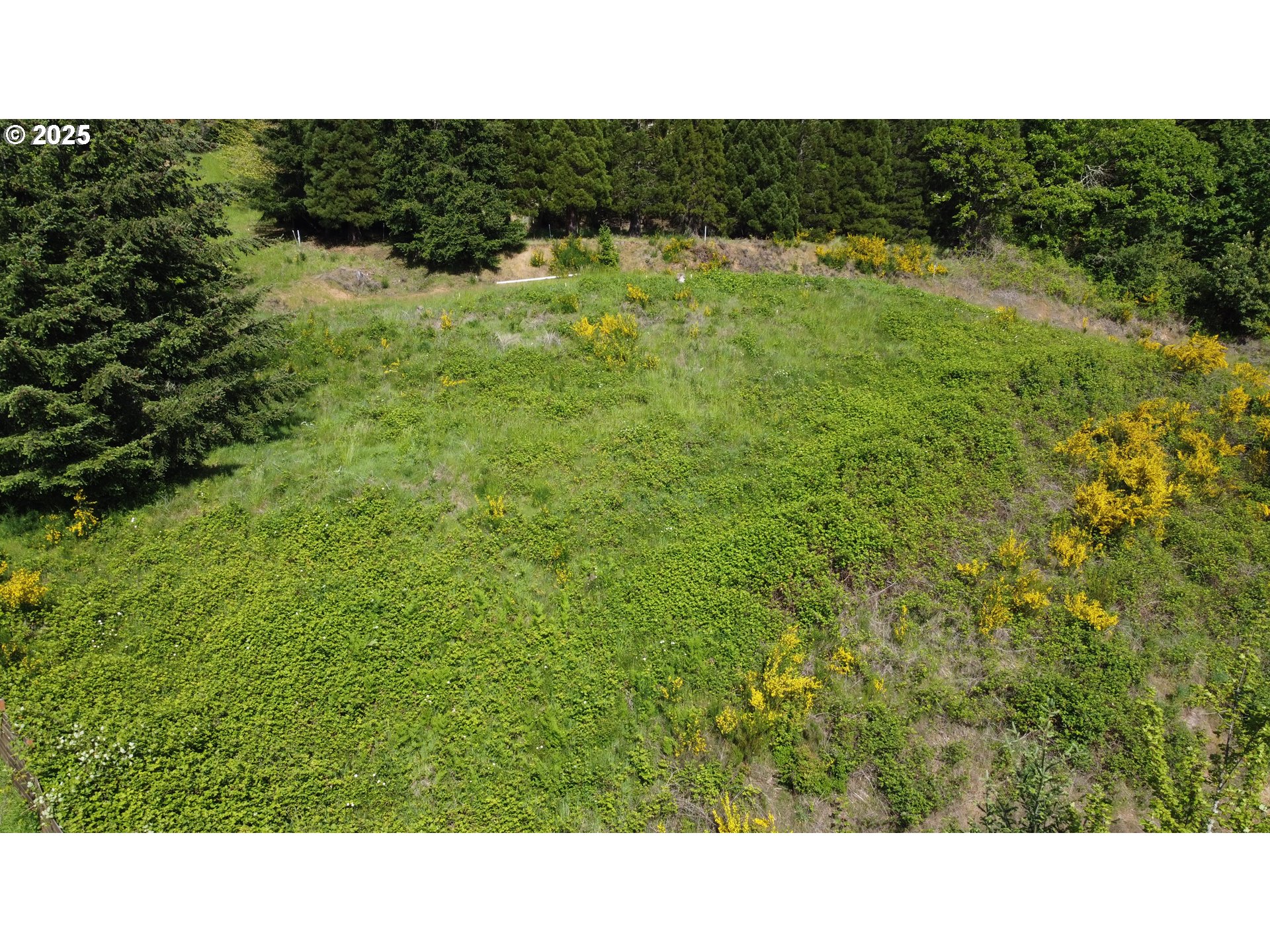 Wendell, Unit 1 Eugene, OR 97405 - Photo 2 of 14 a black and white photo of a house