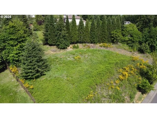 a open area with trees in the background