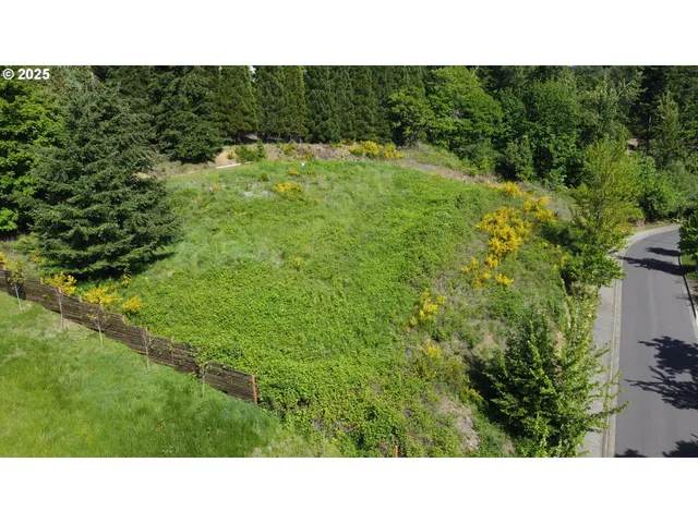a black and white photo of a house