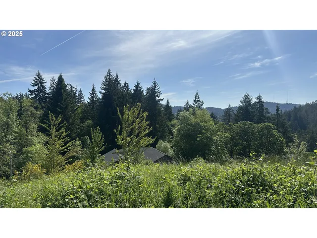 a open area with trees in the background