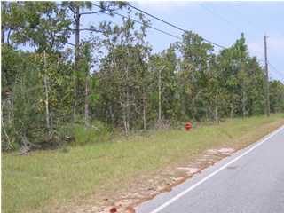 N/a Martin Road DeFuniak Springs, FL 32433 - Photo 1 of 4 Gallery Image 1