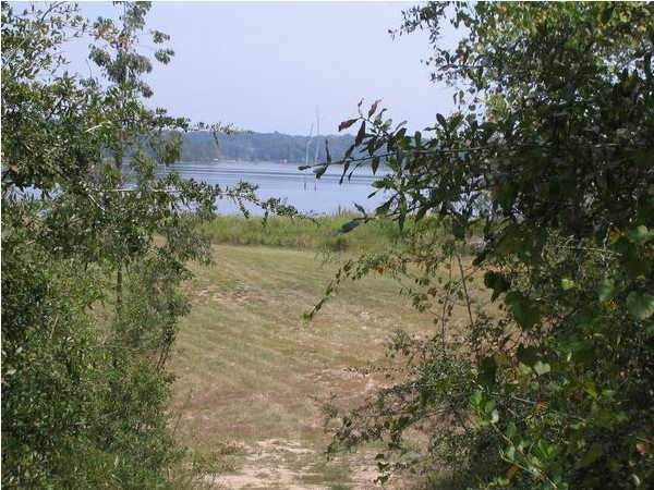 N/a Martin Road DeFuniak Springs, FL 32433 - Photo 3 of 4 Gallery Image 3