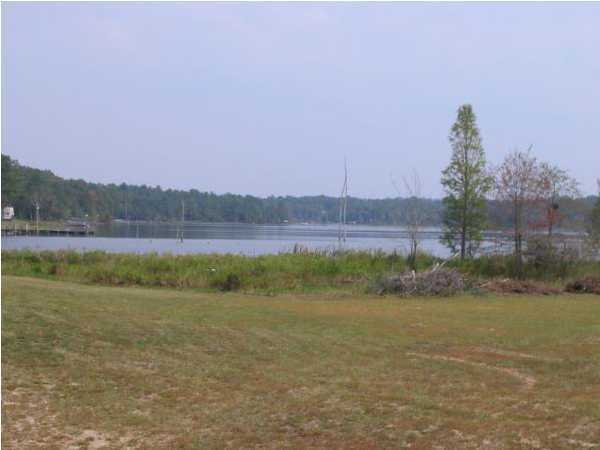 N/a Martin Road DeFuniak Springs, FL 32433 - Photo 4 of 4 Gallery Image 4