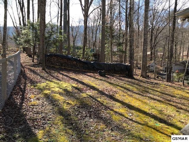 3105 Valley Home Road Sevierville, TN 37862 - Photo 20 of 26