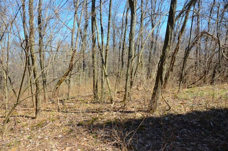 8762 Locust Grove Road Burlington, KY 41005 - Photo 14 of 24 Gallery Image 14
