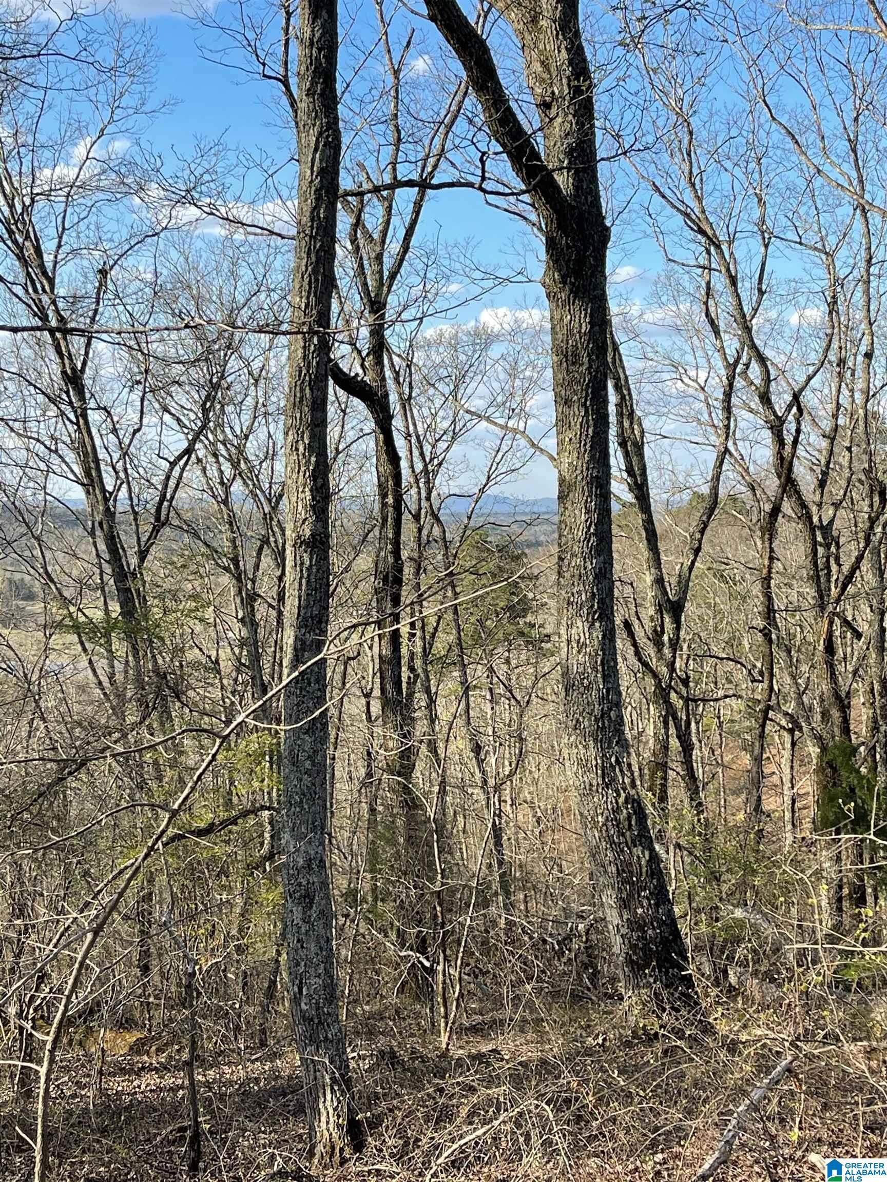 388 Gould Road Columbiana, AL 35051 - Photo 1 of 1