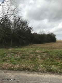 0 Wright Road Kaplan, LA 70548 - Photo 2 of 5 IMG_3720