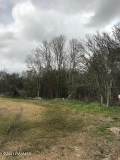 0 Wright Road Kaplan, LA 70548 - Photo 3 of 5 IMG_3723