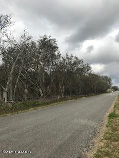 0 Wright Road Kaplan, LA 70548 - Photo 4 of 5 IMG_3725