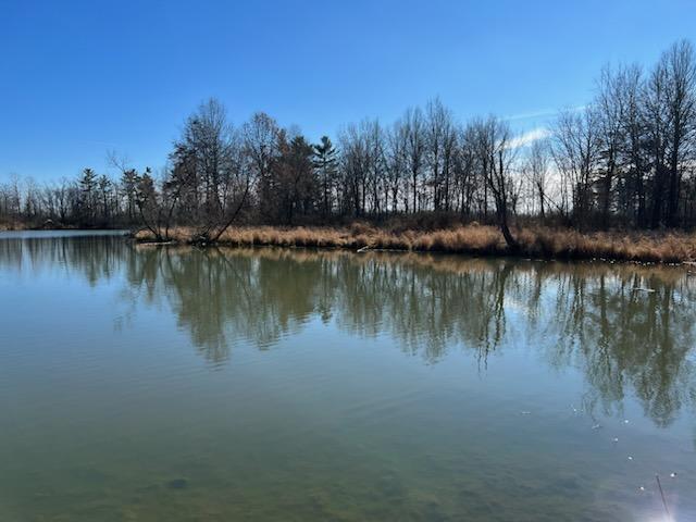 19461 Coleman-Brake Road Marysville, OH 43040 - Photo 5 of 6 Payne 5 acre water view