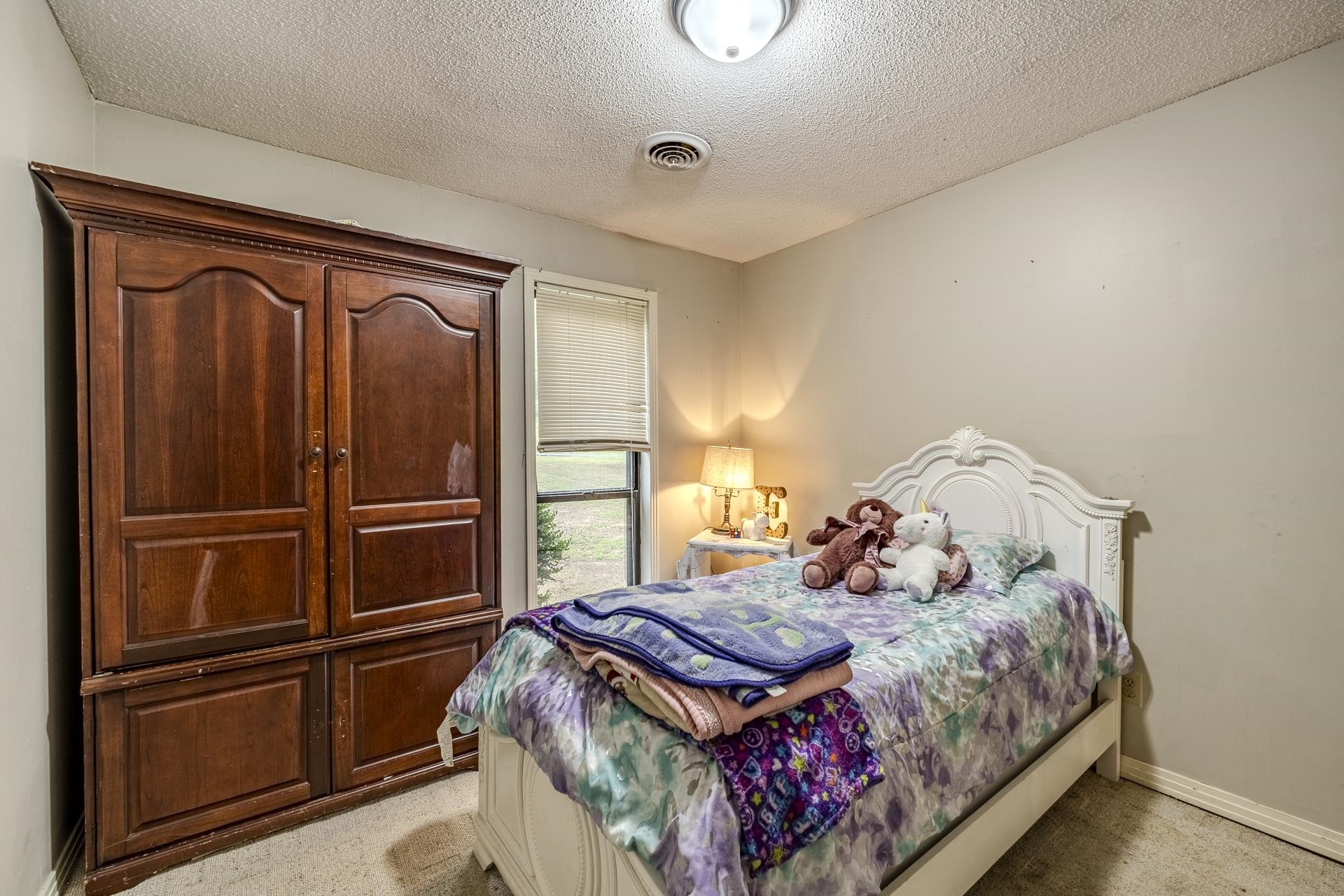 259 Oakview Drive Adamsville, TN 38310 - Photo 22 of 32 Neutral-toned wall finishes, textured ceiling, a window with blinds, and carpeted flooring