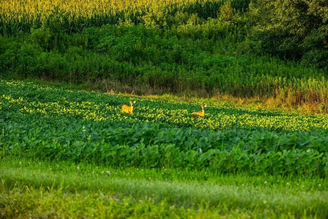 $2,950,000 | N34701 County Road South, Blair, WI 54616